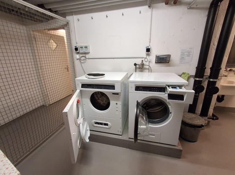 Grosszügige 3.5 Zimmer Wohnung in Neuhausen am Rheinfall (9)