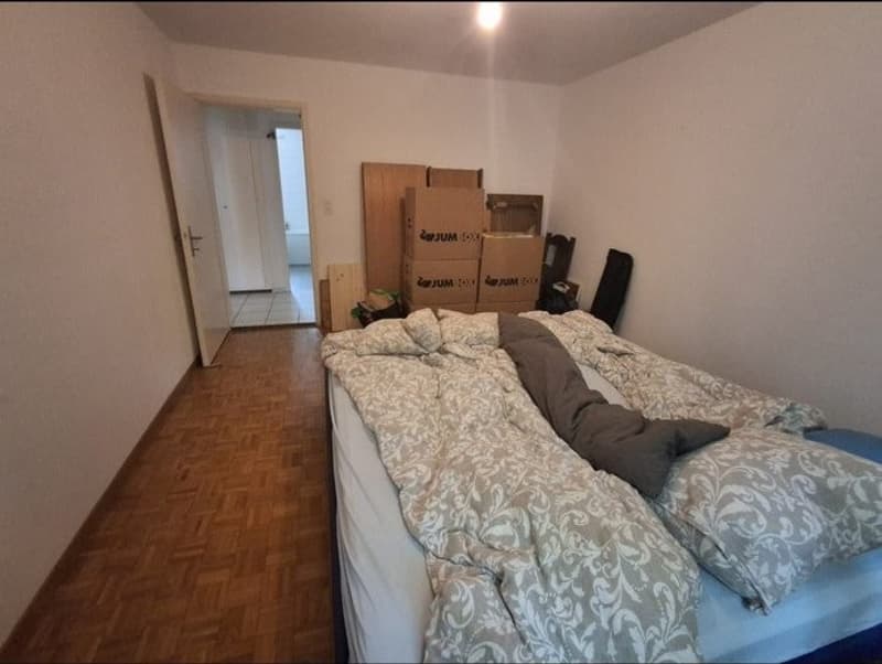 Grosszügige 3.5 Zimmer Wohnung in Neuhausen am Rheinfall (3)