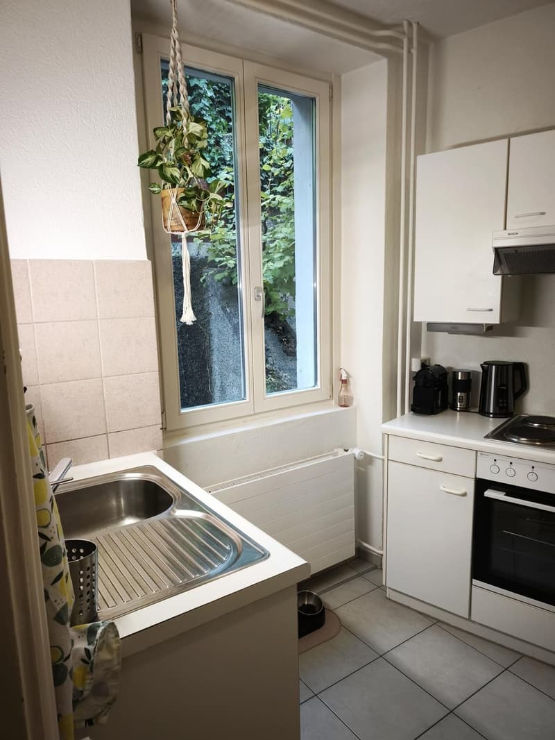Appartement 3 ½ pièces, 1700 Fribourg (8)