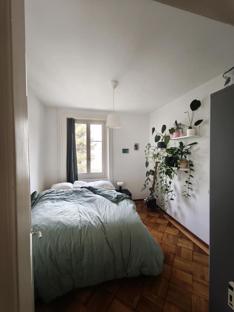Appartement 3 ½ pièces, 1700 Fribourg (1)