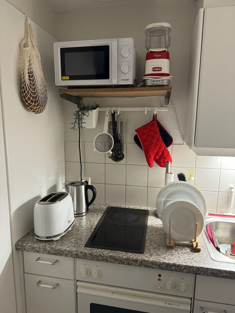 Nachmieter/in für schönes 30 m² Flat in Zürich gesucht (2)