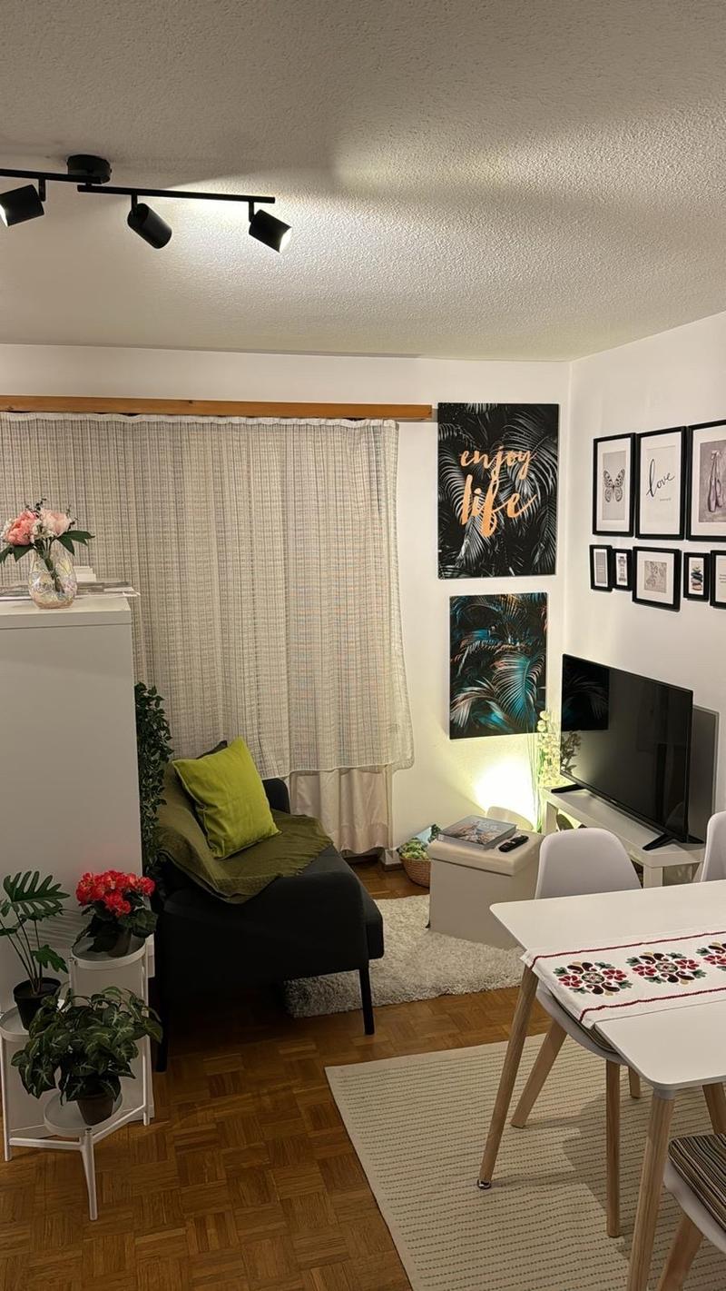 Nachmieter/in für schönes 30 m² Flat in Zürich gesucht (1)