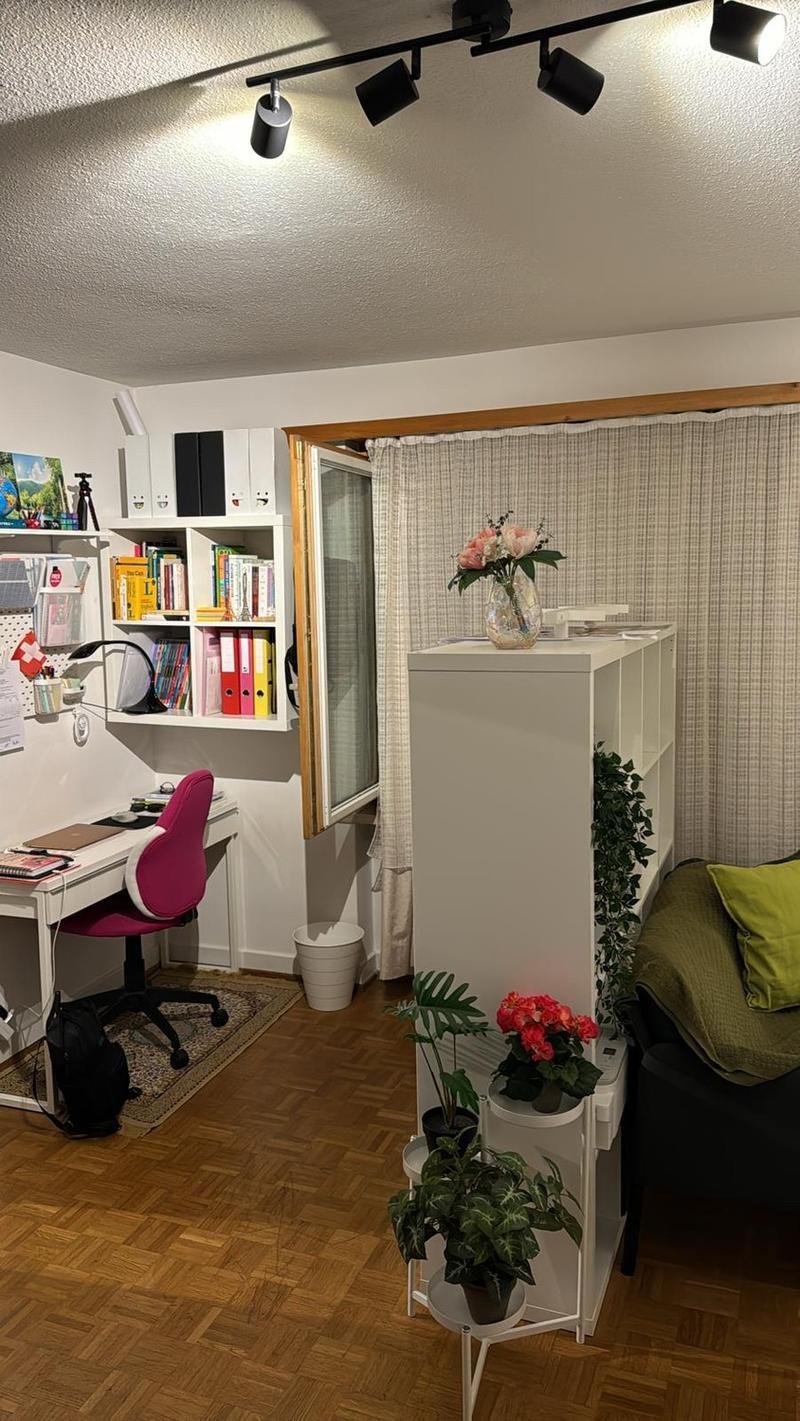 Nachmieter/in für schönes 30 m² Flat in Zürich gesucht (4)