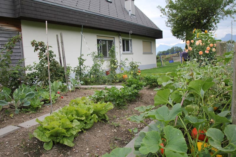 Einfamilienhaus an top Lage (11)