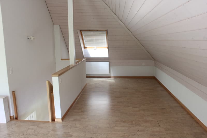 Einfamilienhaus an top Lage (10)