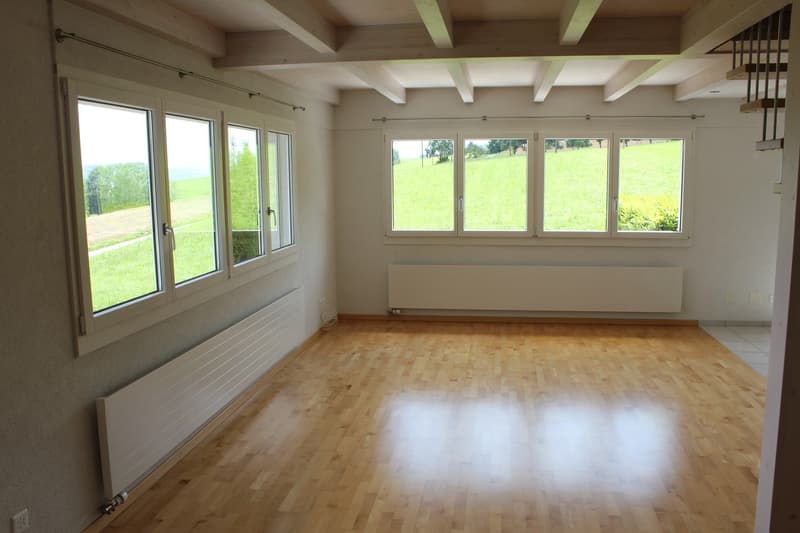 Einfamilienhaus an top Lage (6)