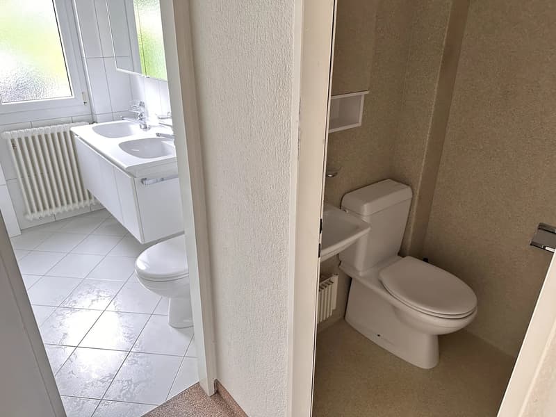 Bright furnished room with Lake Zurich view in quiet 3-person apartment (10)