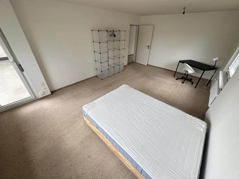 Bright furnished room with Lake Zurich view in quiet 3-person apartment (4)