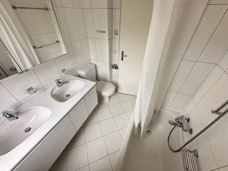 Bright furnished room with Lake Zurich view in quiet 3-person apartment (9)