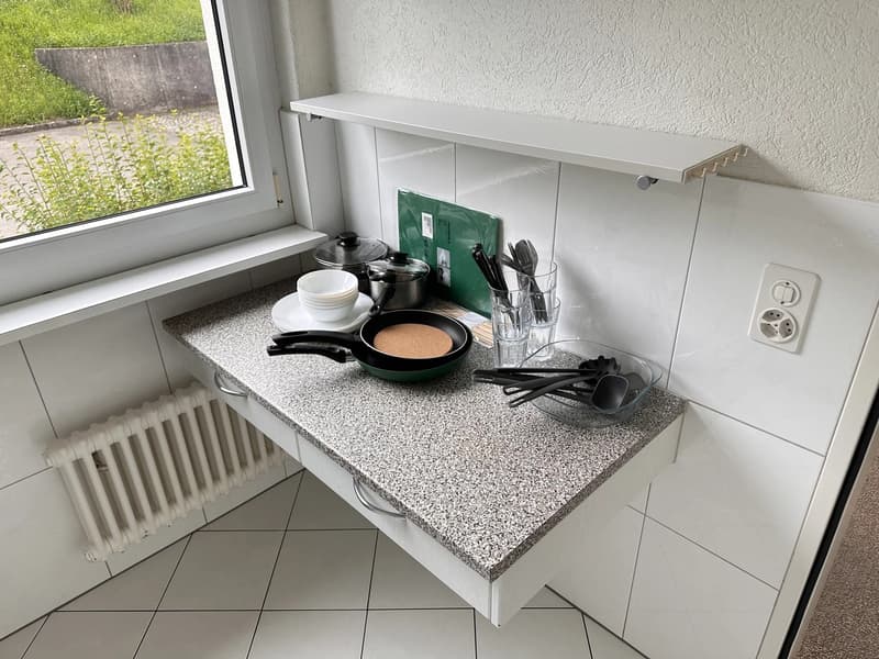 Bright furnished room with Lake Zurich view in quiet 3-person apartment (12)