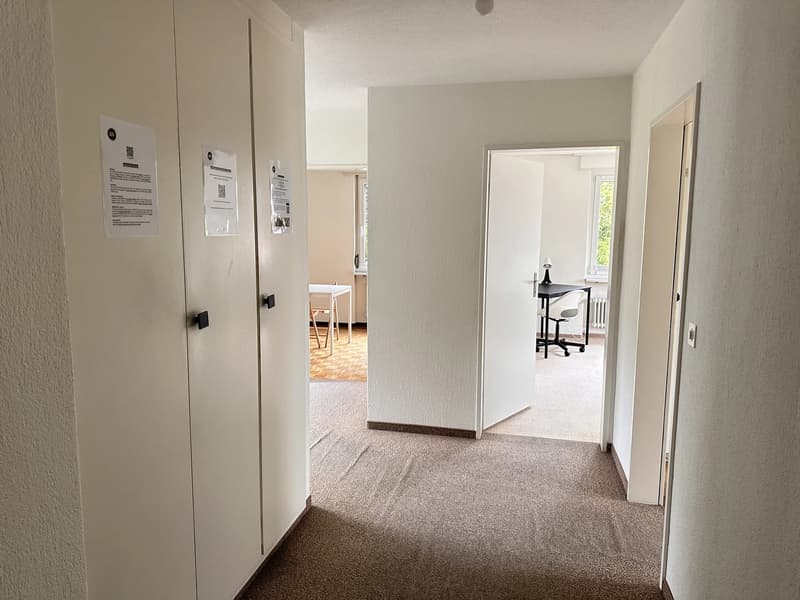 Bright furnished room with Lake Zurich view in quiet 3-person apartment (3)