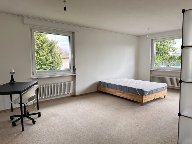 Bright furnished room with Lake Zurich view in quiet 3-person apartment (1)