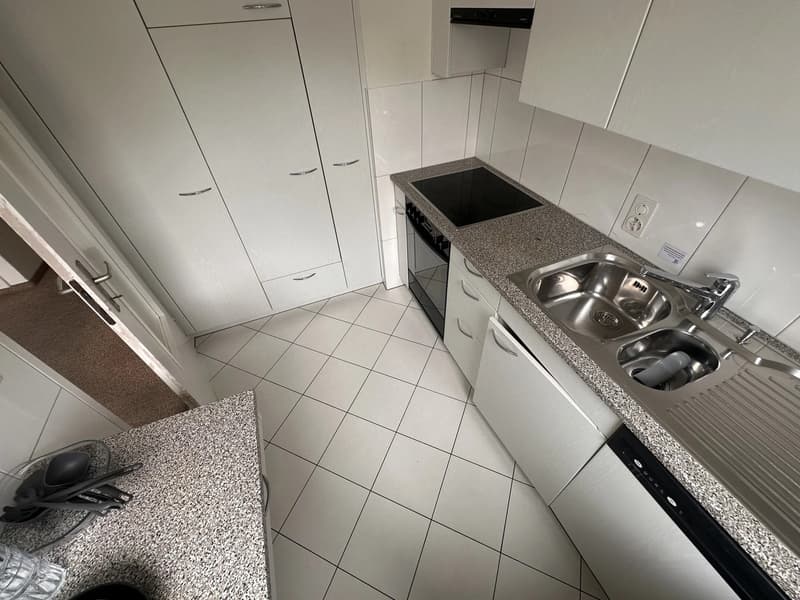 Bright furnished room with Lake Zurich view in quiet 3-person apartment (6)