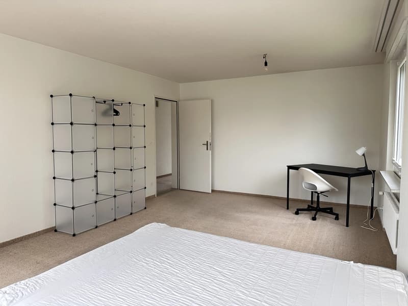 Bright furnished room with Lake Zurich view in quiet 3-person apartment (5)