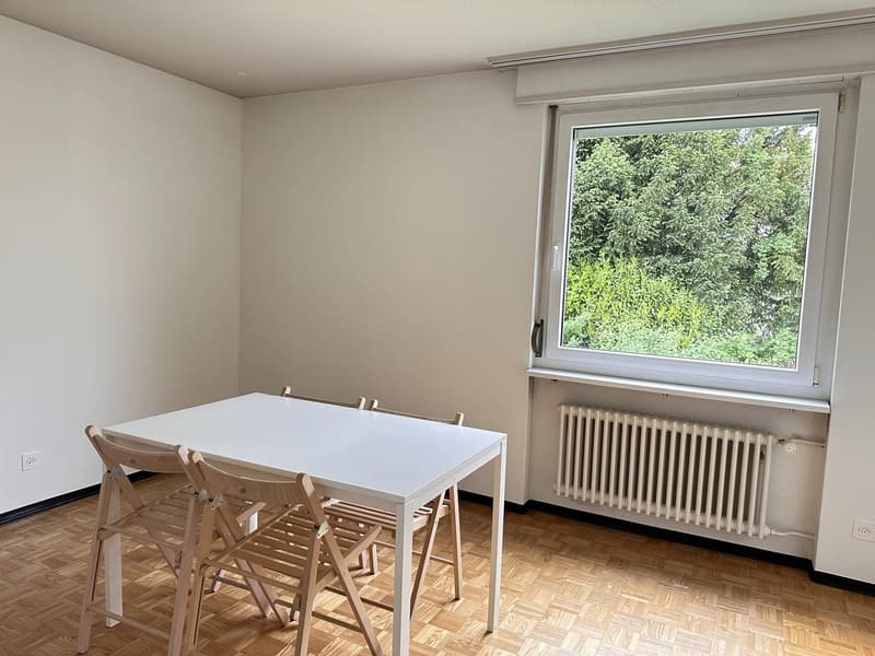 Bright furnished room with Lake Zurich view in quiet 3-person apartment (11)