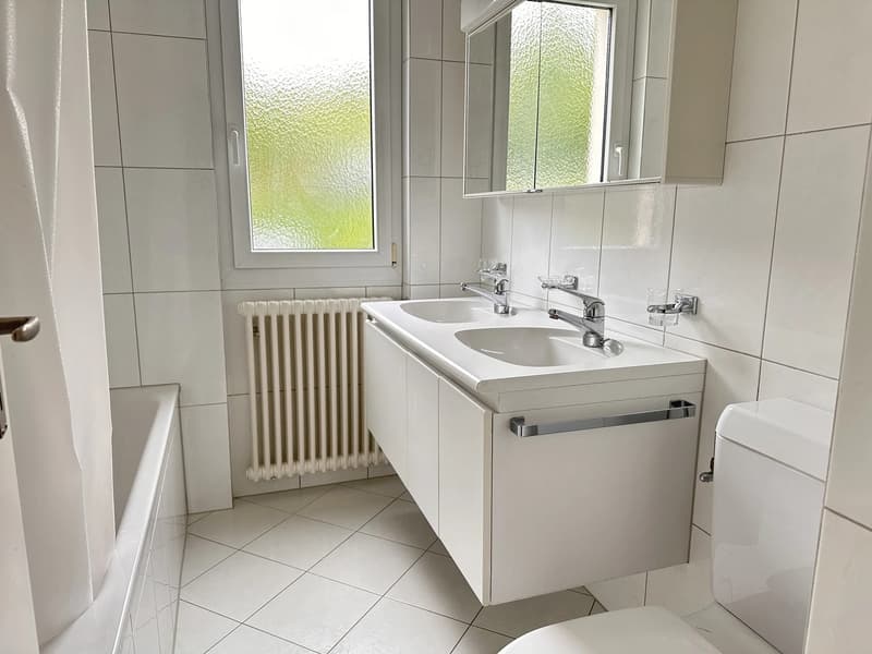 Bright furnished room with Lake Zurich view in quiet 3-person apartment (8)
