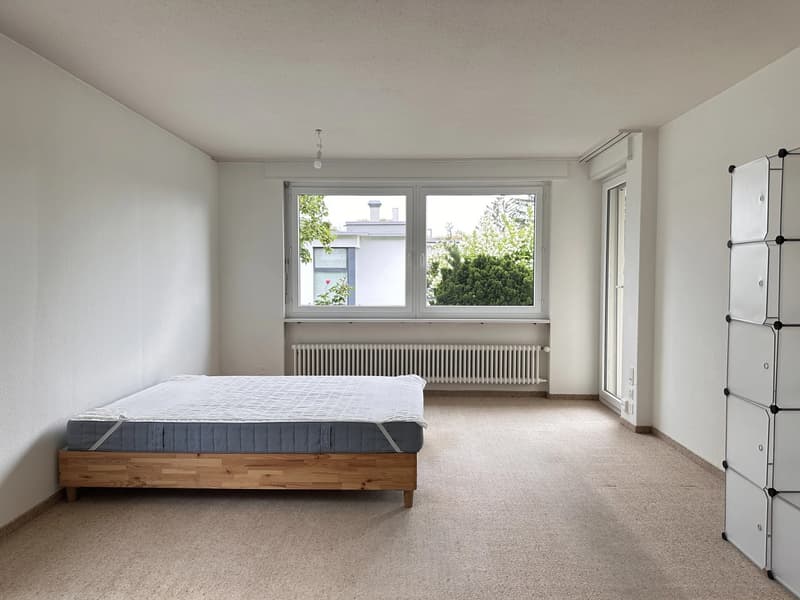 Bright furnished room with Lake Zurich view in quiet 3-person apartment (7)