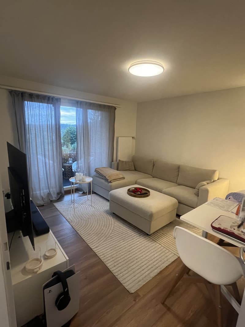 2 Zimmer-Wohnung, 5116 Schinznach-Bad (2)
