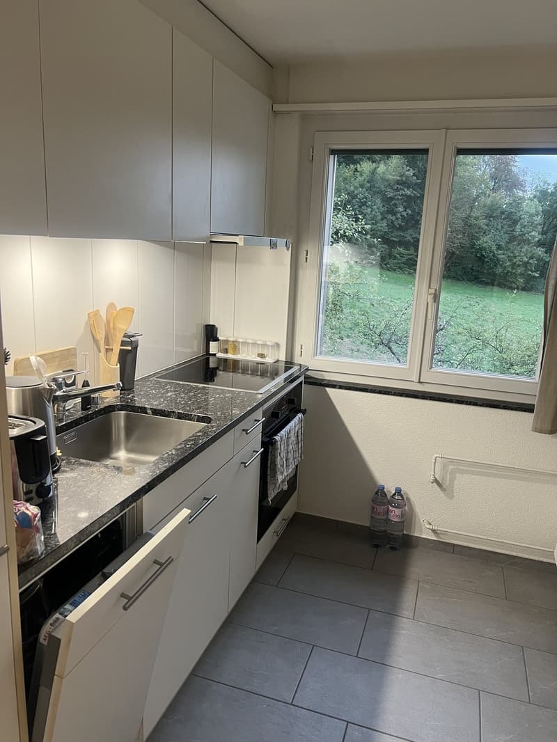 2 Zimmer-Wohnung, 5116 Schinznach-Bad (5)