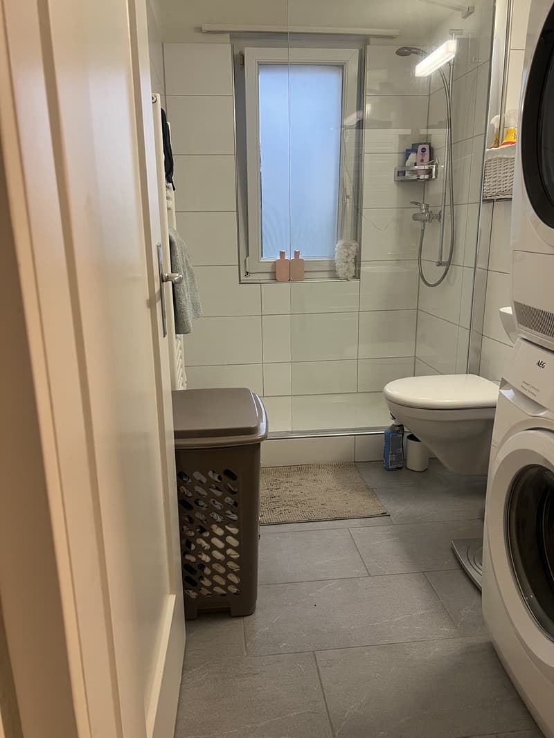 2 Zimmer-Wohnung, 5116 Schinznach-Bad (9)
