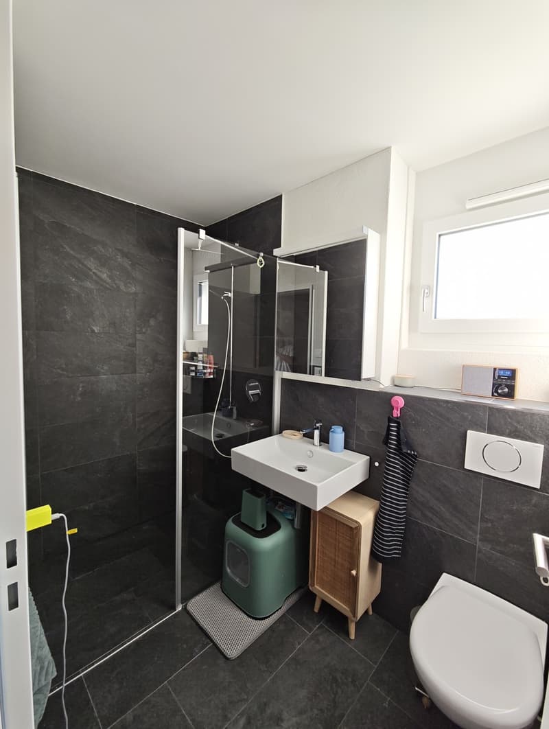 Moderne 4.5-Zimmer-Neubauwohnung mit grossem Balkon (7)