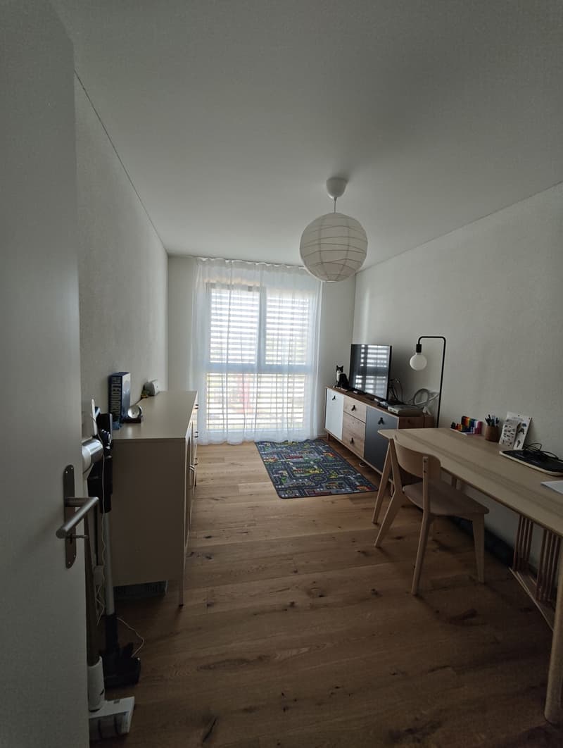 Moderne 4.5-Zimmer-Neubauwohnung mit grossem Balkon (4)