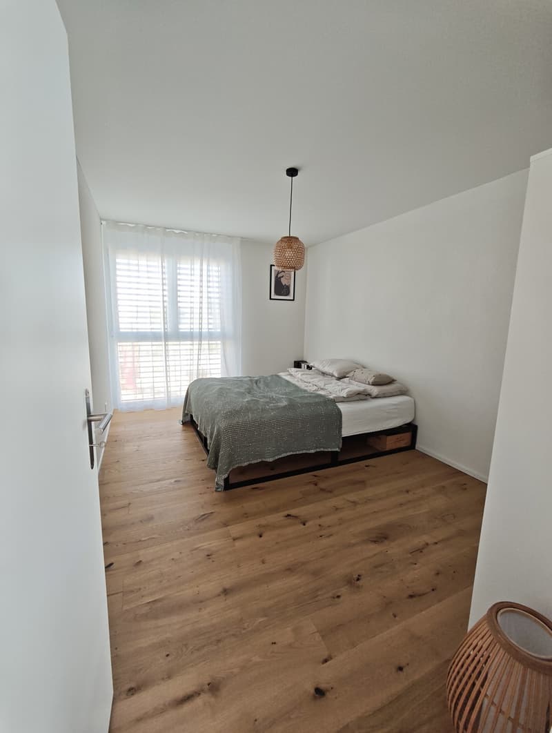 Moderne 4.5-Zimmer-Neubauwohnung mit grossem Balkon (2)