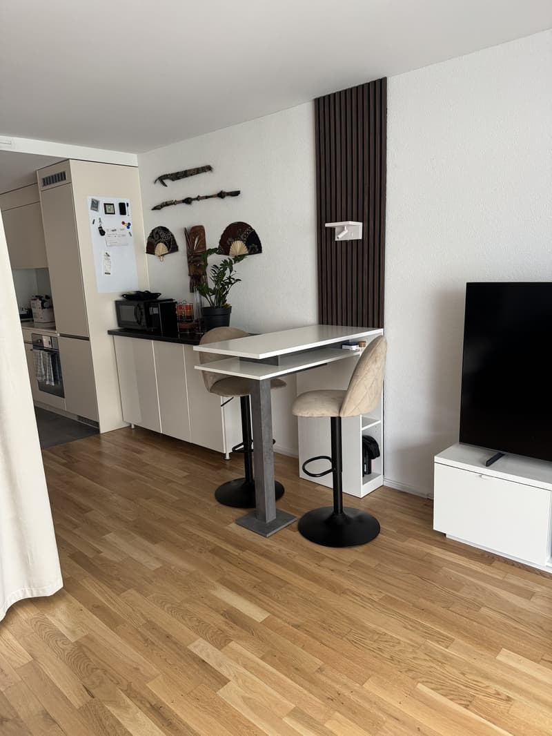1 ½ Zimmer-Wohnung, 8052 Zürich-Seebach (1)