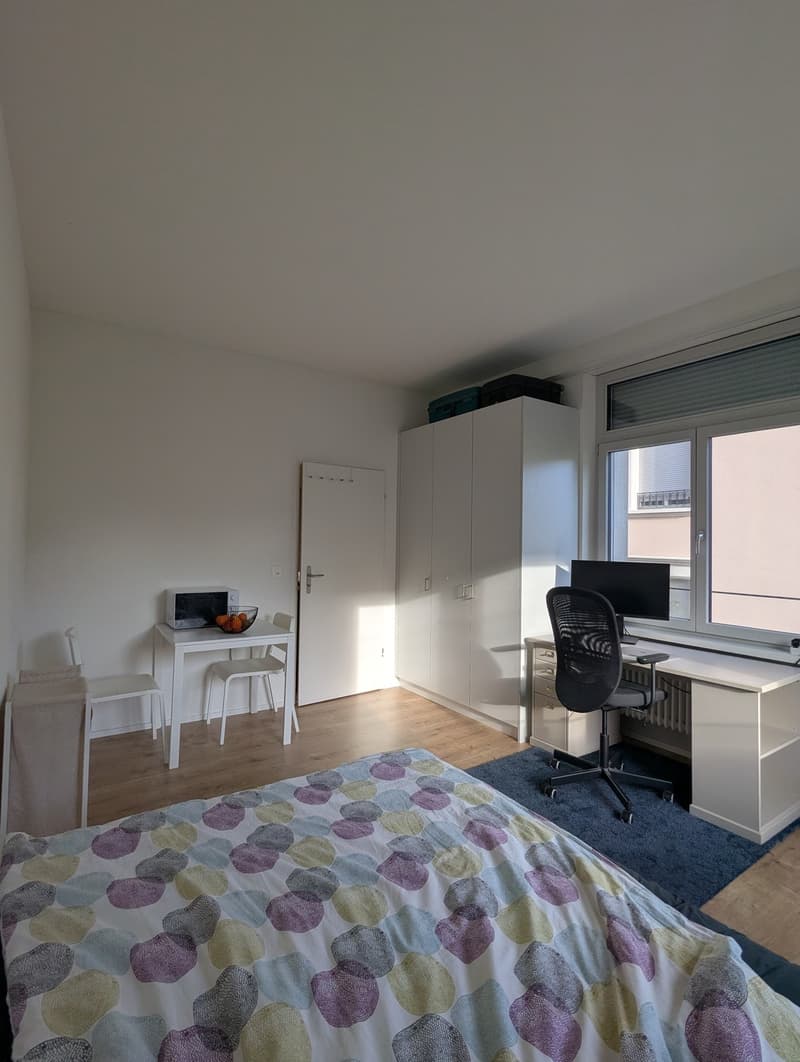 Appartement 1 pièce, 8006 Zürich (1)