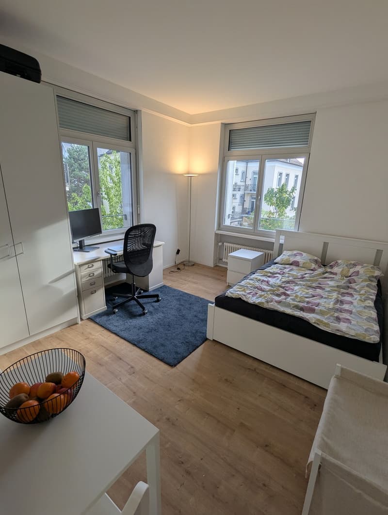 Appartement 1 pièce, 8006 Zürich (2)