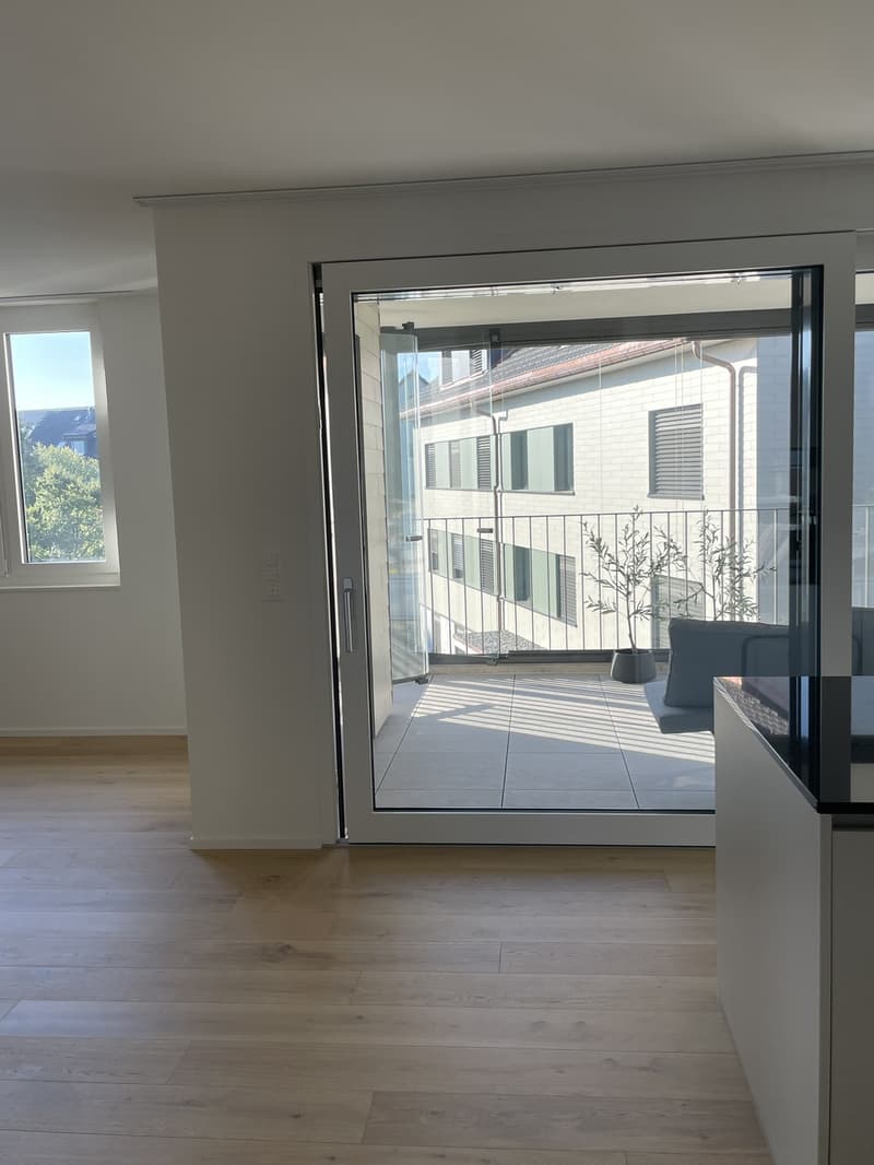 2.5 Zimmer Wohnung Neubau i.d. charmanten Steuer Gemeinde Bottighofen (3)