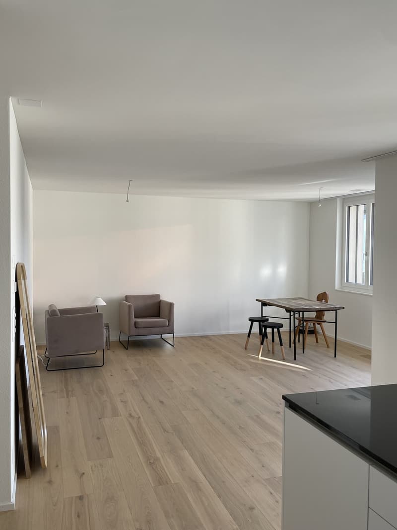 2.5 Zimmer Wohnung Neubau i.d. charmanten Steuer Gemeinde Bottighofen (7)