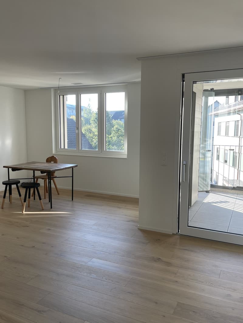 2.5 Zimmer Wohnung Neubau i.d. charmanten Steuer Gemeinde Bottighofen (4)