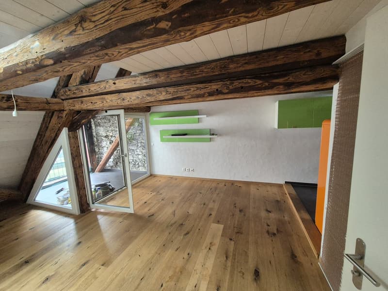 Top Wohnung über den Dächern von der Altstadt Schaffhausen (1)