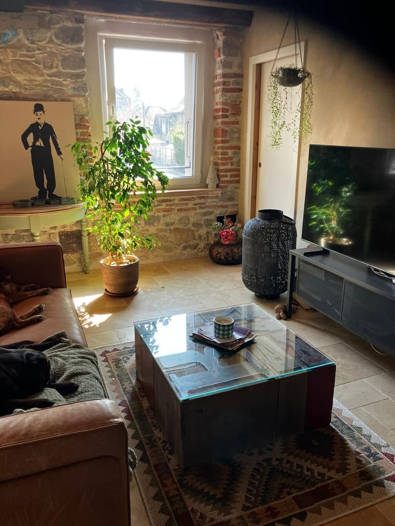 Superbe 3,5 pièces de standing à Oron-la-Ville (1)