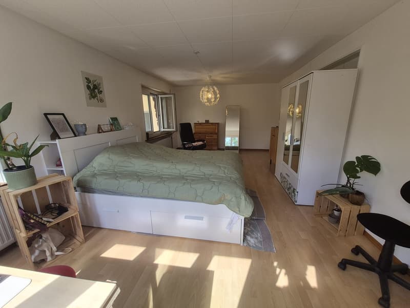 Bright room in a friendly shared flat 2 rooms available (3)