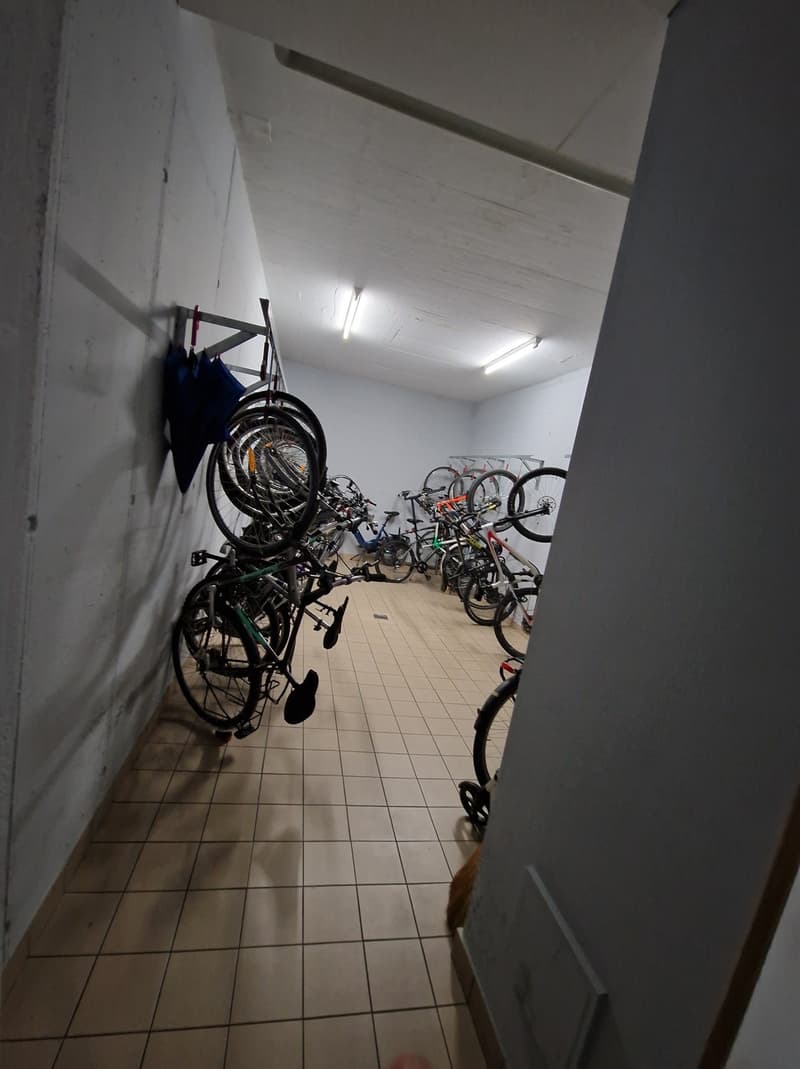 Helle 1-Zimmer-Wohnung mit Balkon und schöner Aussicht  ab 01.12. (4)
