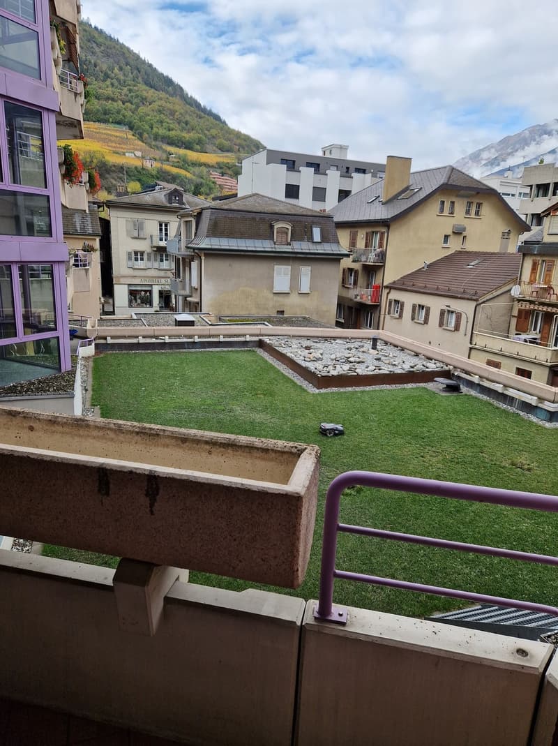 Helle 1-Zimmer-Wohnung mit Balkon und schöner Aussicht  ab 01.12. (10)