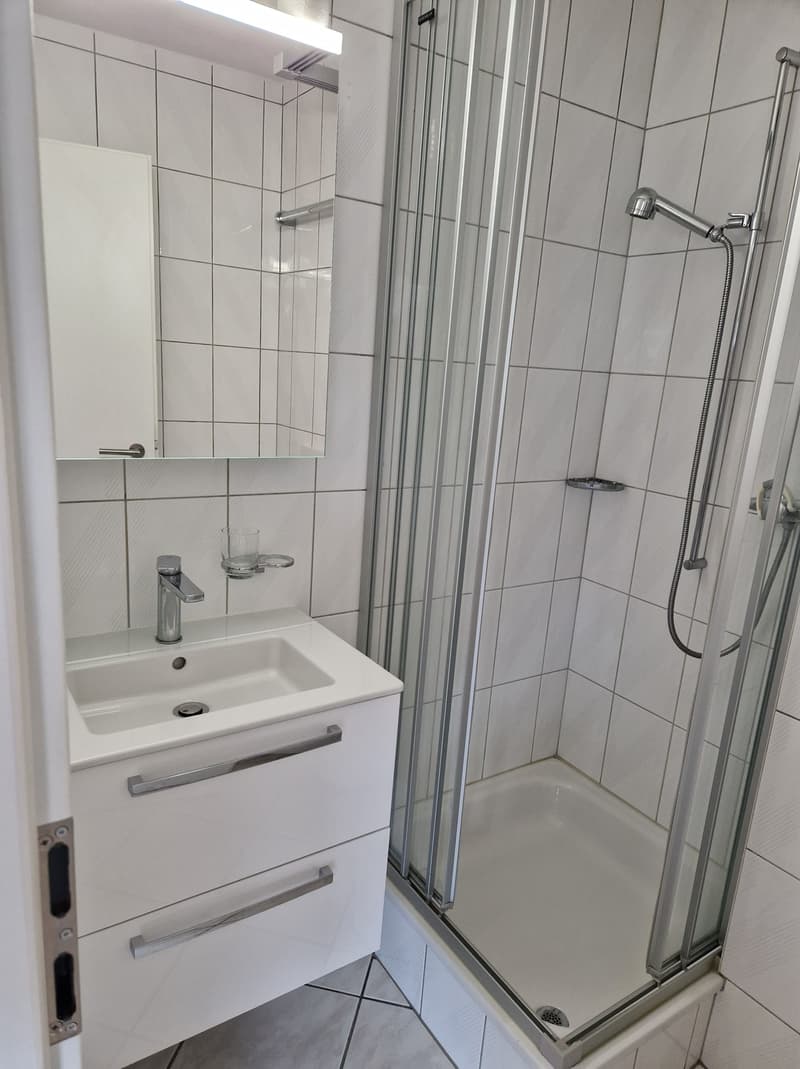 Helle 1-Zimmer-Wohnung mit Balkon und schöner Aussicht  ab 01.12. (8)