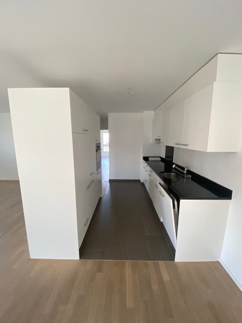 Modernes Wohnglück in Niederglatt ZH - 4.5-Zimmer-Wohnung mit grosser Terrasse (2)