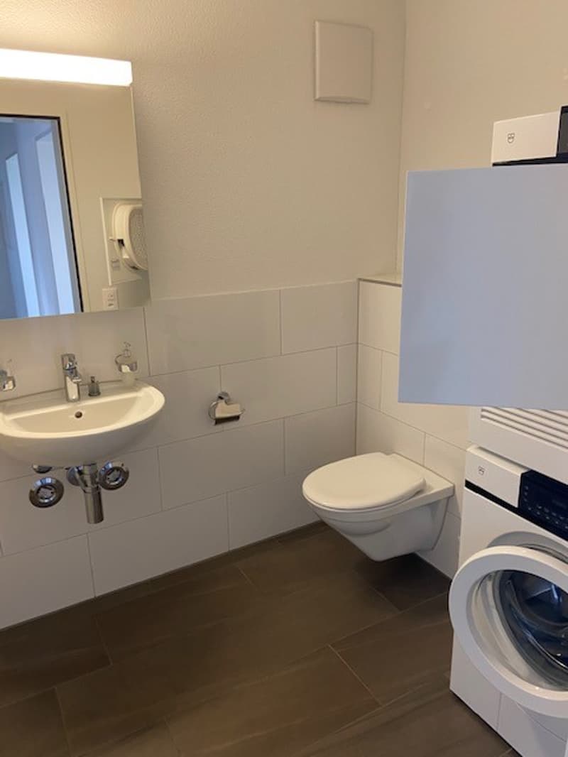 Modernes Wohnglück in Niederglatt ZH - 4.5-Zimmer-Wohnung mit grosser Terrasse (9)