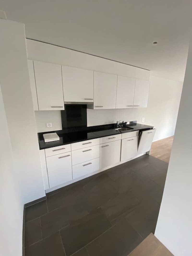 Modernes Wohnglück in Niederglatt ZH - 4.5-Zimmer-Wohnung mit grosser Terrasse (4)
