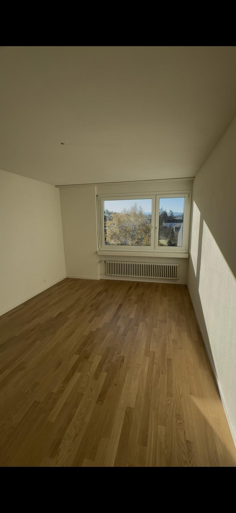 Schönes 16m2 WG Zimmer (1)