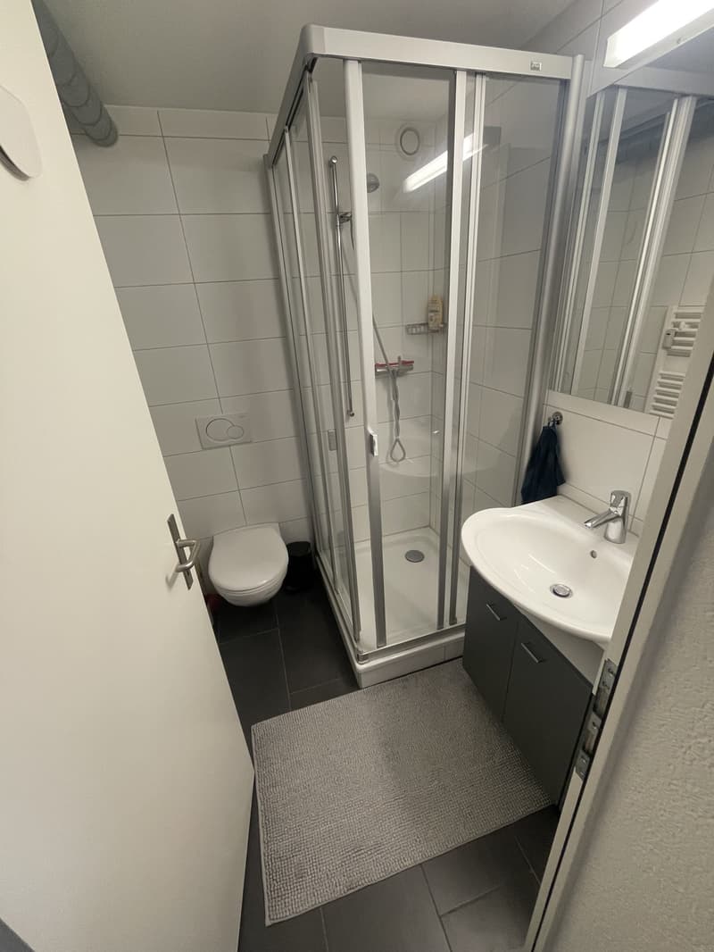 Helle und moderne 2.5-Zimmer-Wohnung im Herzen des Lorrainequartiers (Nachmieter gesucht) (5)