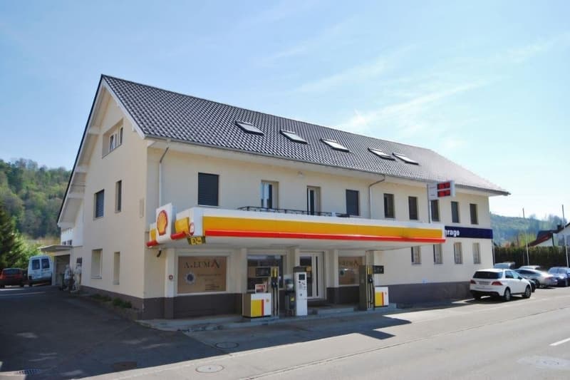 2.5 Zimmer Wohnung (6)