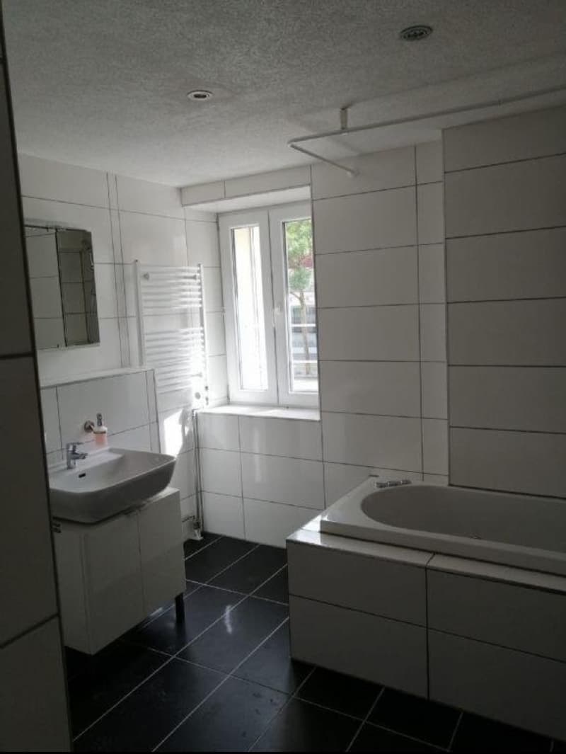 2.5 Zimmer Wohnung (5)