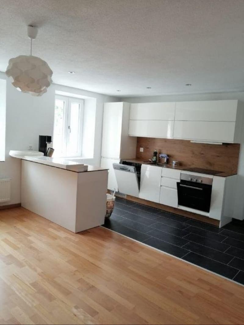 2.5 Zimmer Wohnung (1)