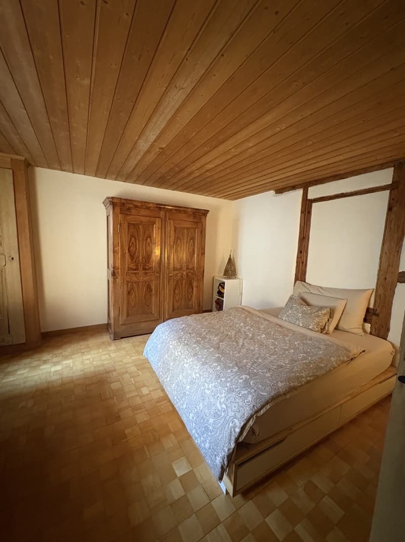 Altstadt-Charme trifft Stil - Wohnen mitten im Herzen von Bern (7)