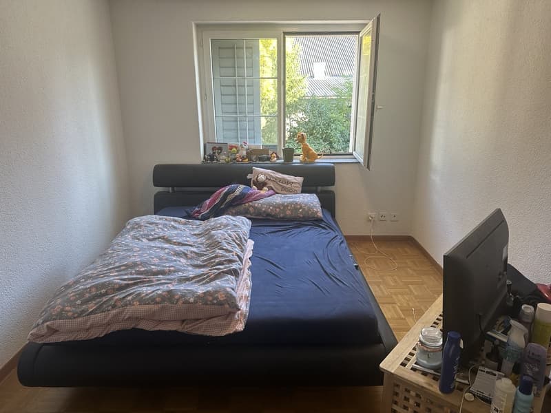 Gemütliche WG-Zimmer in ruhiger Lage nahe der Limmat (1)