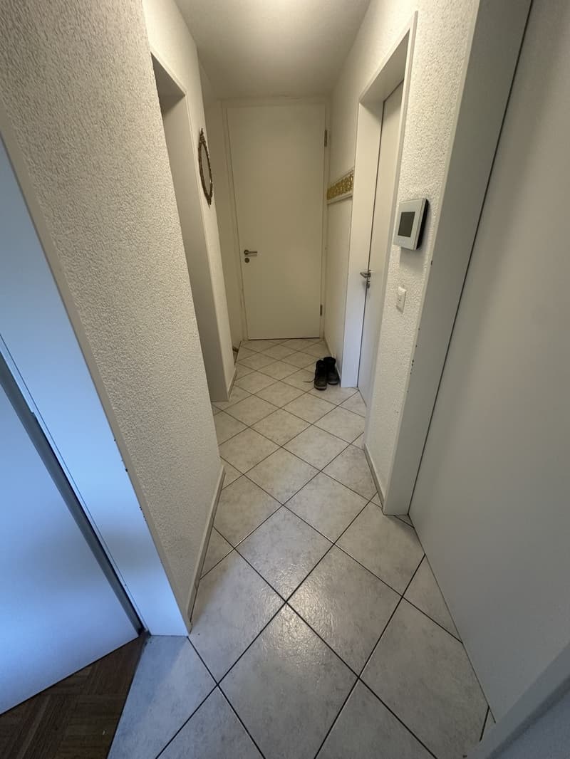 Gemütliche WG-Zimmer in ruhiger Lage nahe der Limmat (3)